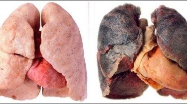 terrible harms of smoking.