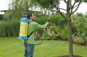 you should fully cover all storing water equipment and clean them properly