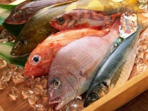 Fish extremely good for brain development of your baby