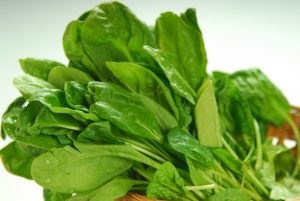 Spinach is rich in folic acid, vitamin B and iron