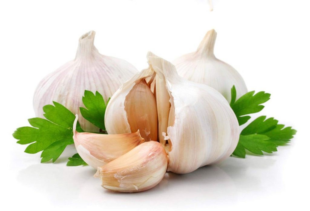 Garlic is known as a versatile herb and a necessary spice