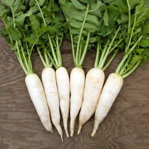 White radish