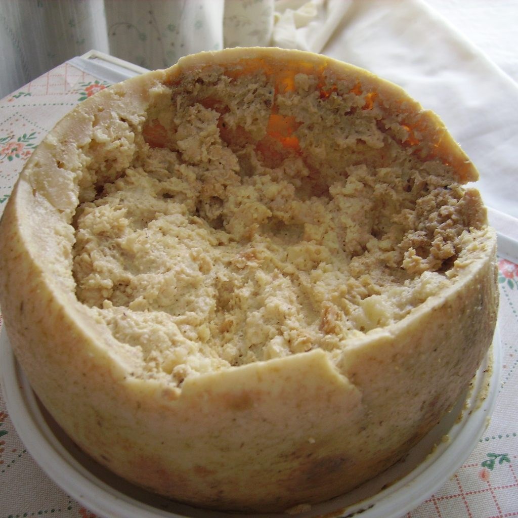 Rotten cheese (Casu Marzu)