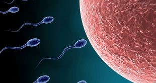 sperms