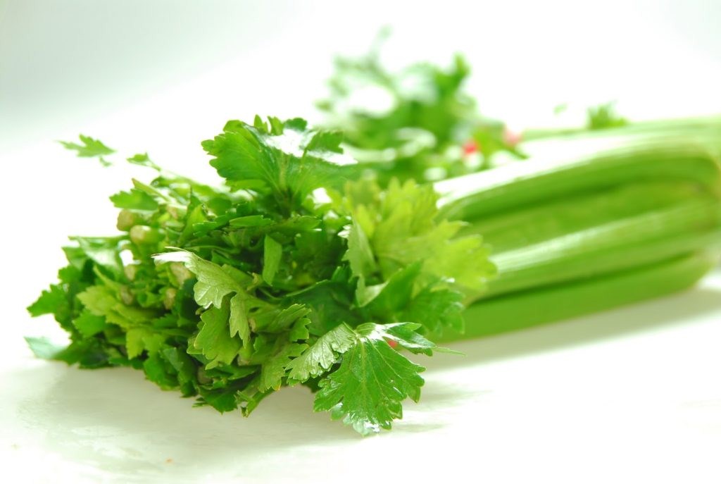 Celery